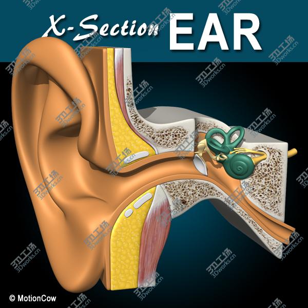 images/goods_img/20210313/Ear X-Section/1.jpg